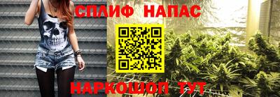 СК Заводоуковск