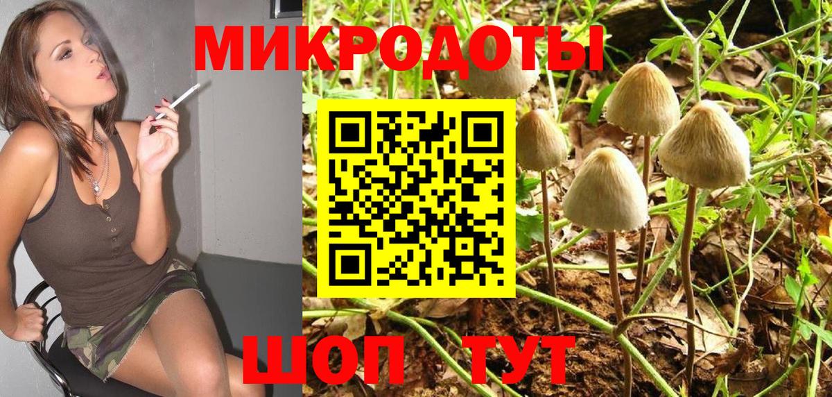 Галлюциногенные грибы Magic Shrooms  Вход с VPN  Шахты  Псилоцибиновые грибы Psilocybe 