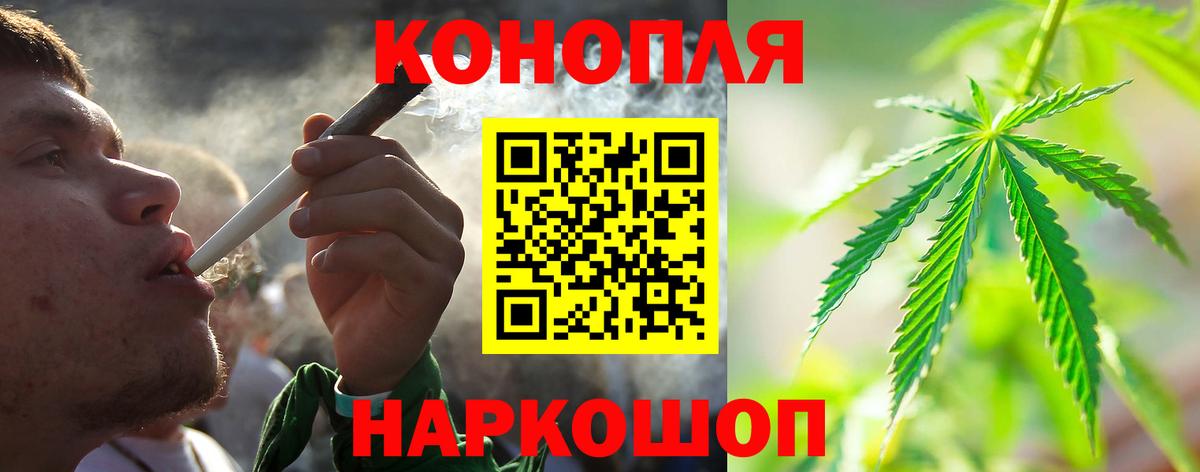 Шишки марихуана семена Шахты
